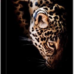 Leopard Canvas