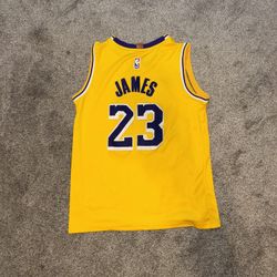 LeBron James Jersey Authentic Stitching