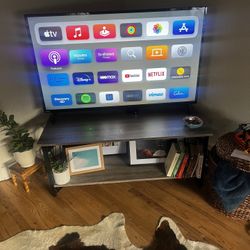 Coffee Table / TV Stand