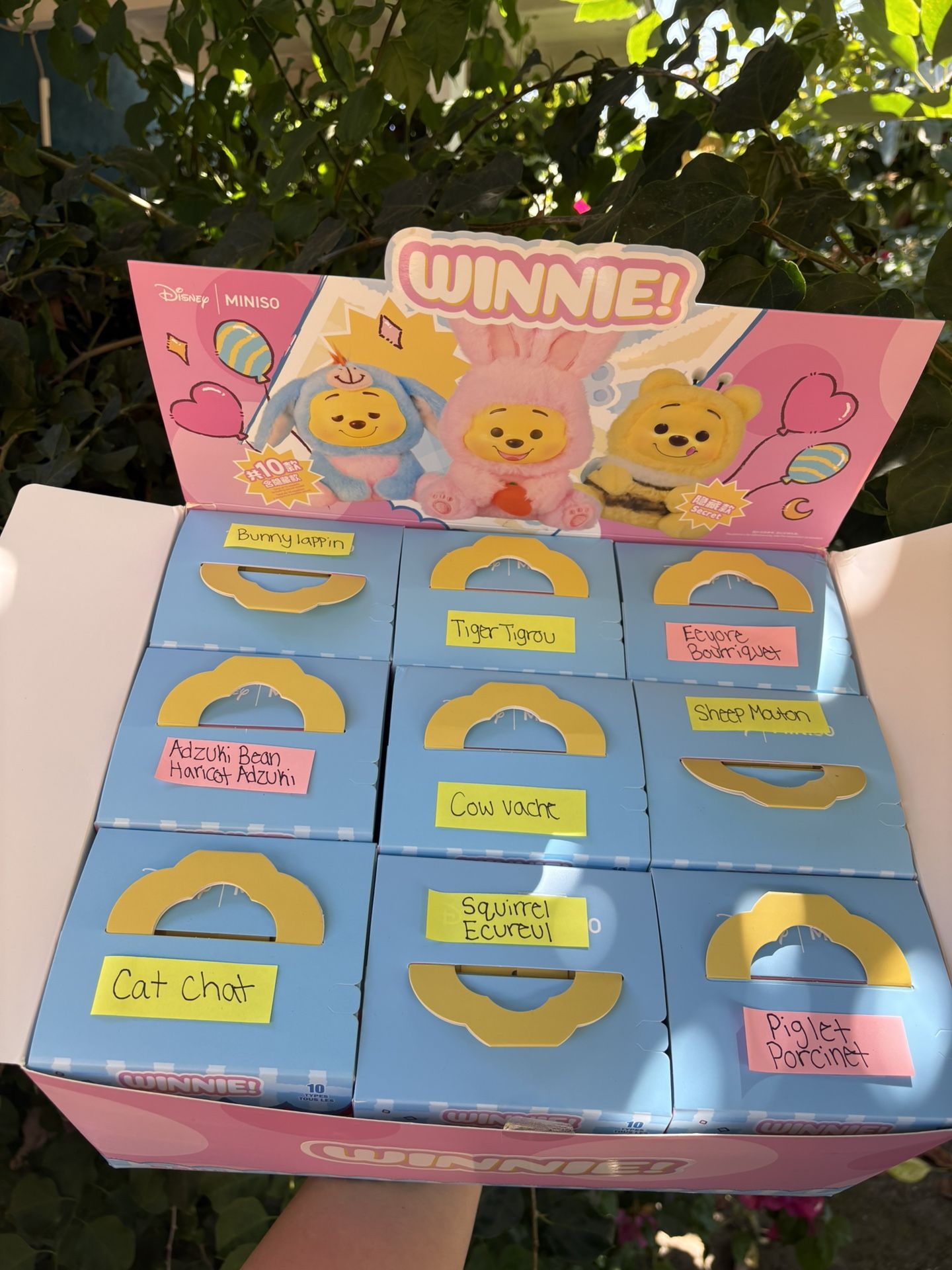 Winnie The Pooh Miniso Disney