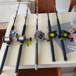 Shimano TLD 20, Senator 113 HLW, Diawa Trolling Rod And Reel Combo