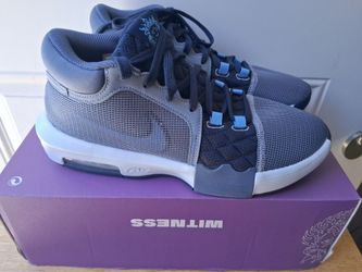 Nike lebron james Witness VIII blue size 10