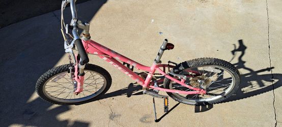 Trek bike kid
