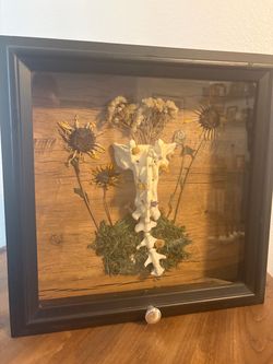Oddities taxidermy bone shadow box Halloween goth decor