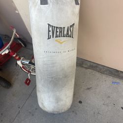 Punching Bag