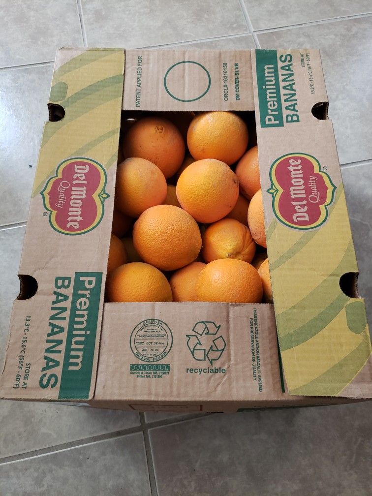 Organic Oranges