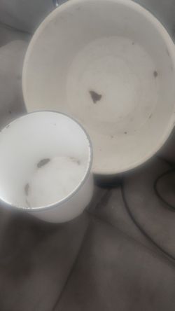 Iron 2 Pcs Antique White 