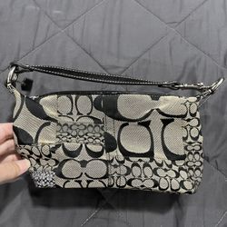 Small Coach Purse