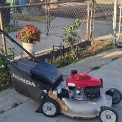 Lawn Mower 