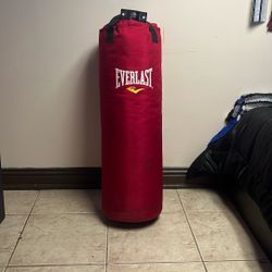 Everlast Boxing Bag-weight- Around 70lbs- Has Some Marks On It 