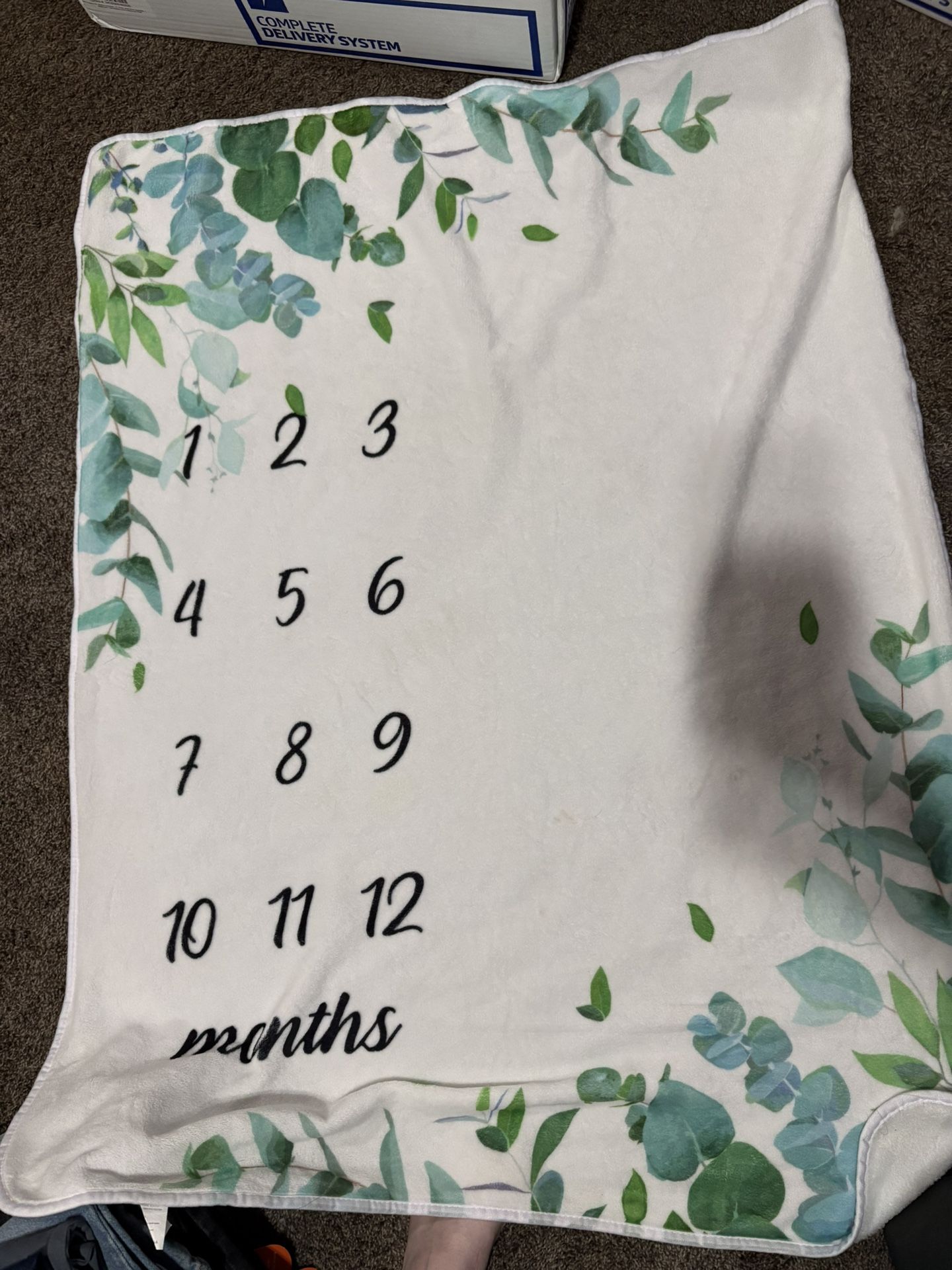Milestone Baby Blankets
