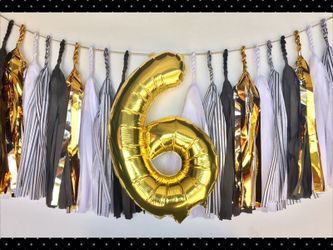 Tassel garland and Balloon Set