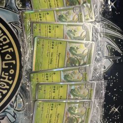 Pokemon Perfect Order Staff Promos