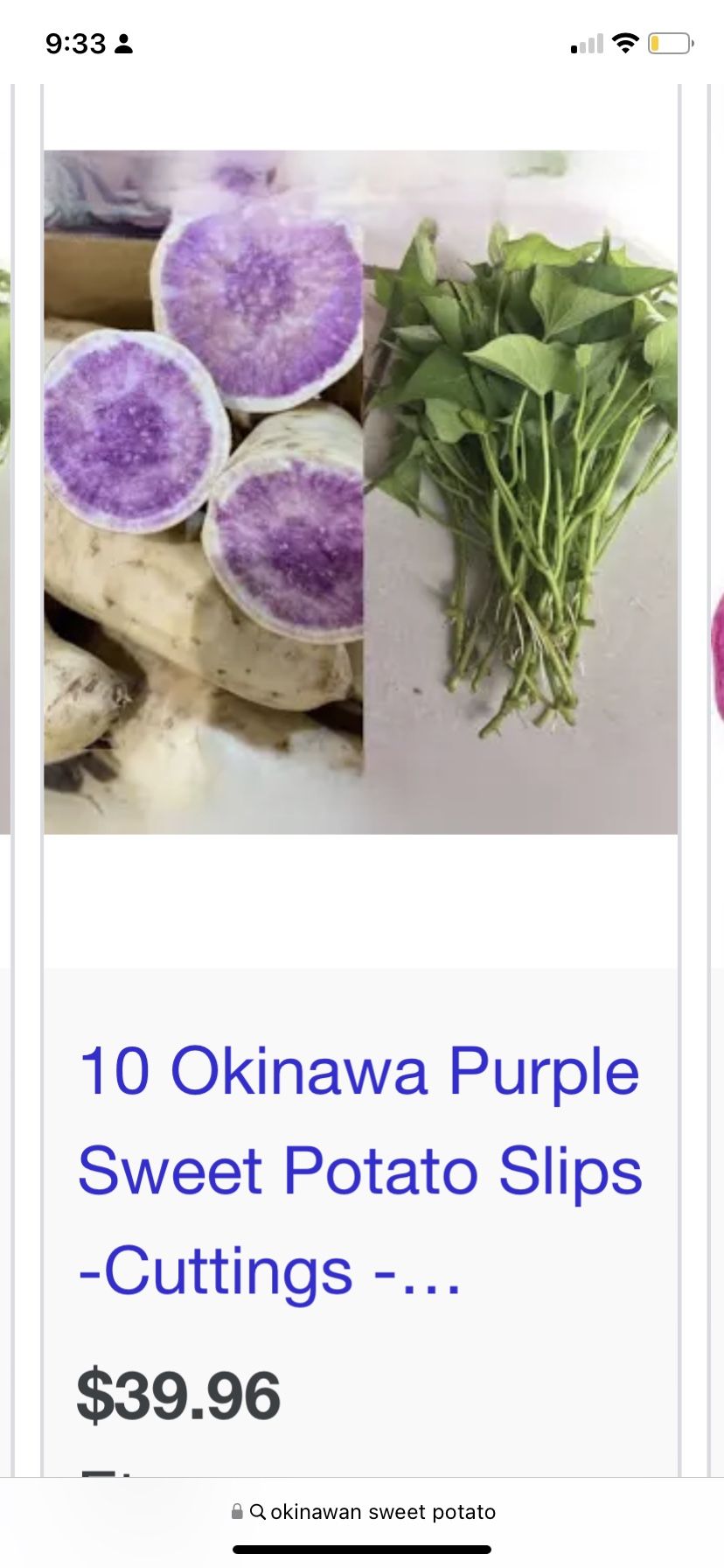 Light Purple Yam Plants (15 Cuttings For $4)