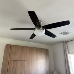 Black Ceiling Fan With Light 