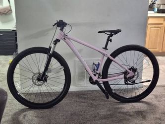 Nishiki 29 inch road bike