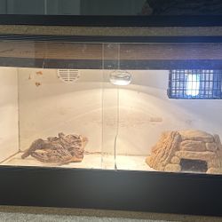 Reptile Terraium