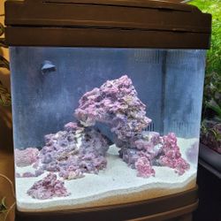 Oceanic BioCube 14