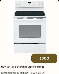 Electric oven