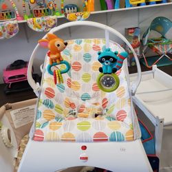 Baby Bouncer