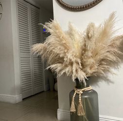 5 Stem Pampas Grass, $5 Per Stem