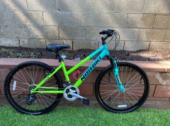 Nishiki Mountain Bike