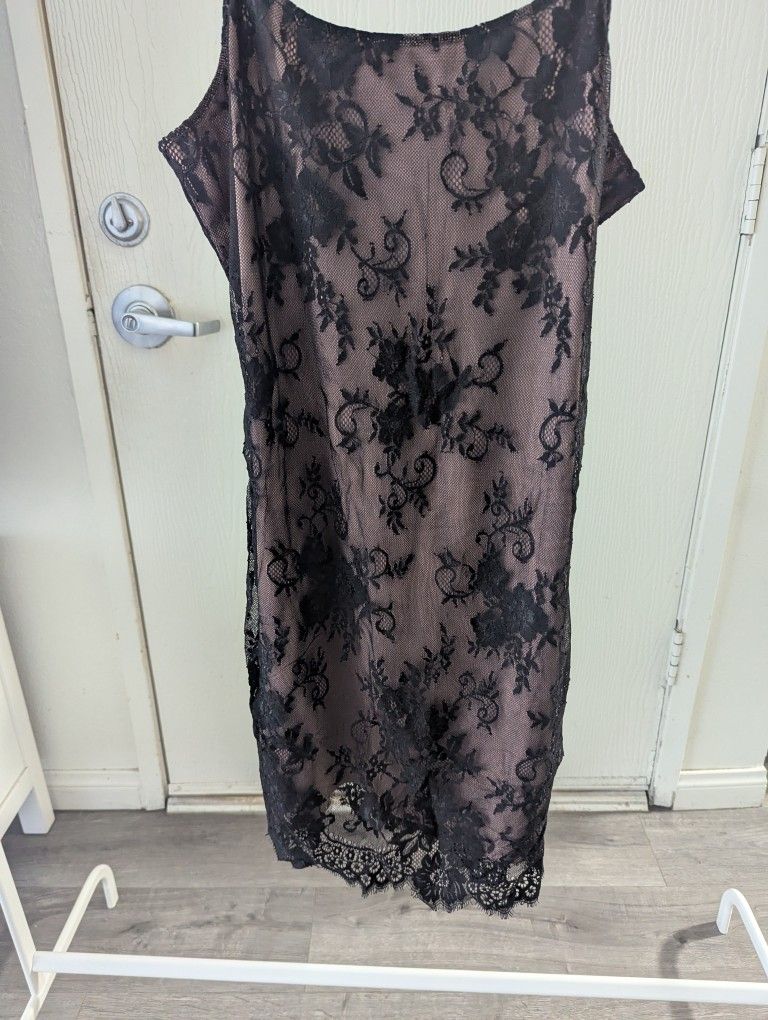 Pre-owned Divided Elegant Lace Dress Size,14