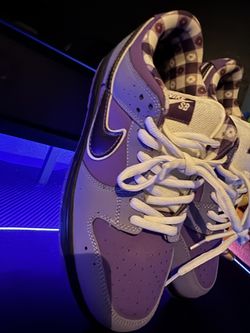 Nike SB Dunk Low Concepts Purple Lobster Size 8.5