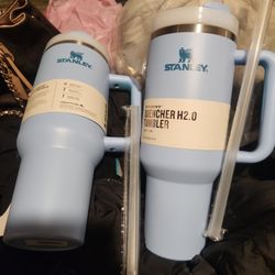 Stanley Quencher H2.0 Tumbler