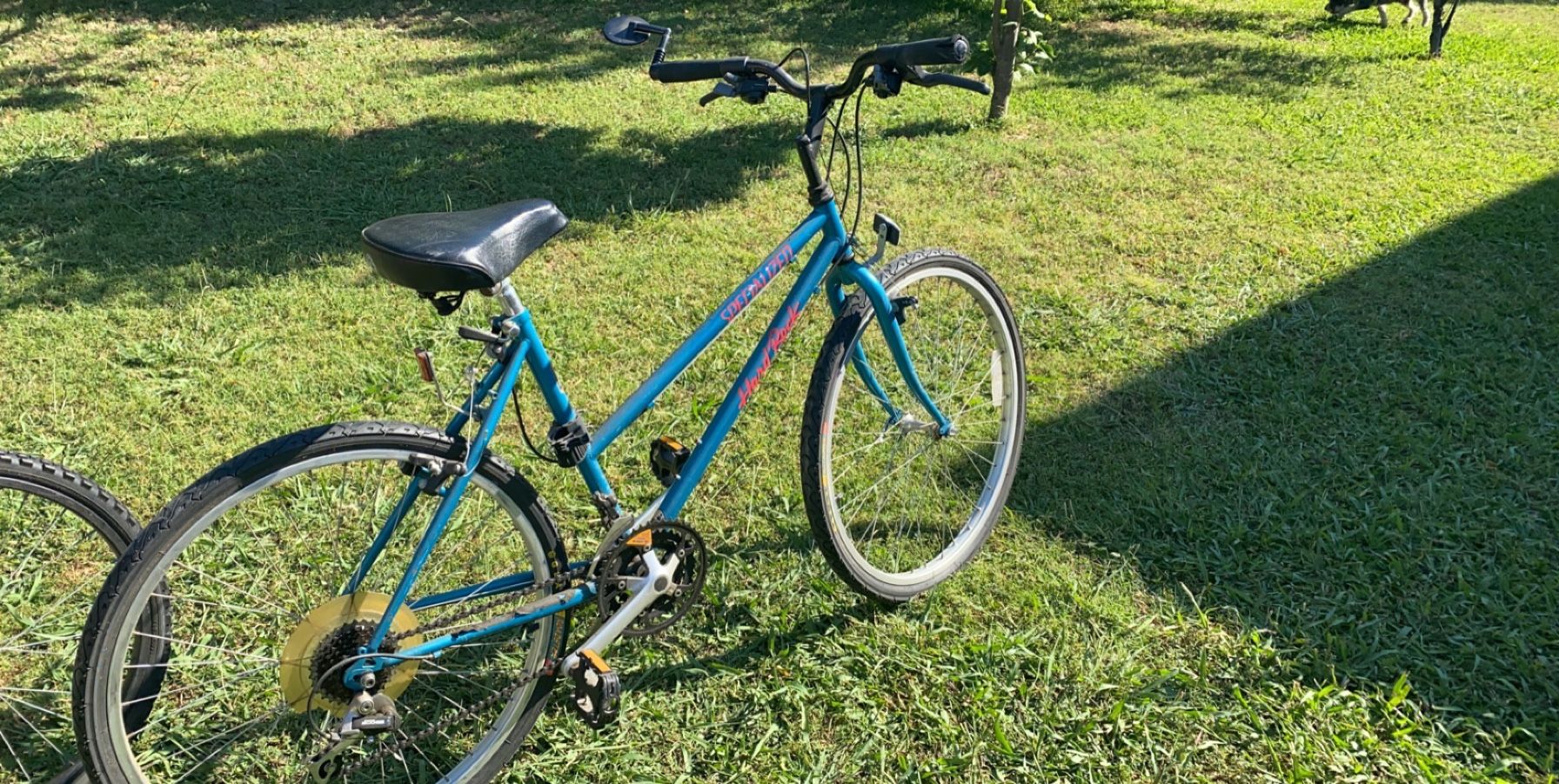 Vintage Specialized Mountain Bike