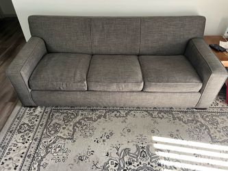 Crate and Barrel Queen Size Convertible Sleeper Sofa