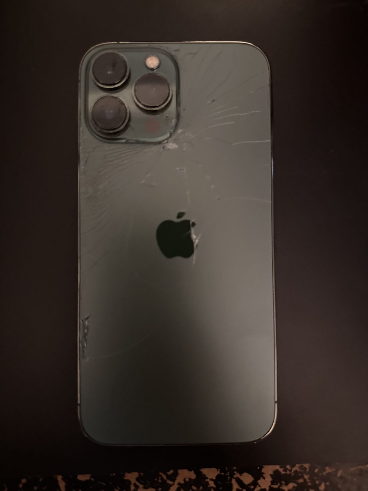 iPhone 13 Pro Max