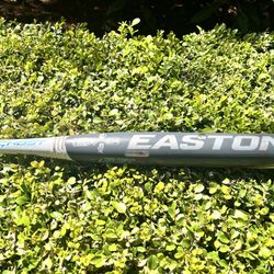 31in Easton Ghost Softball Bat