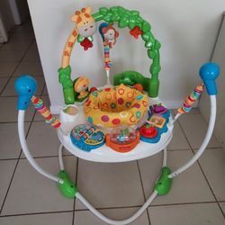 Fisher Price Go Wild Jumperoo 