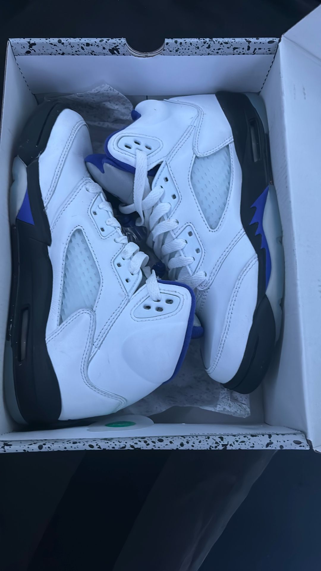 Air Jordan 5 Retro (GS)