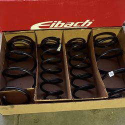 Honda Civic - Eibach Pro Kit Springs