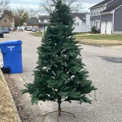 Free Tree Kimberly Court