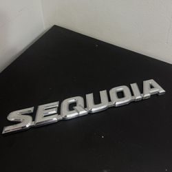 01 02 03 04 05 06 07 TOYOTA SEQUOIA REAR LID CHROME EMBLEM LOGO BADGE OEM