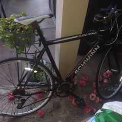Schwinn Bicycle
