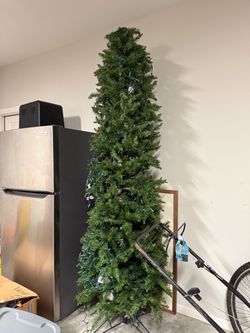 6 ft tree