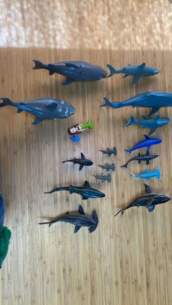 Shark toys