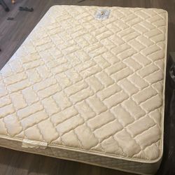 Queen Sized Mattress 
