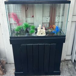 Fish Tank