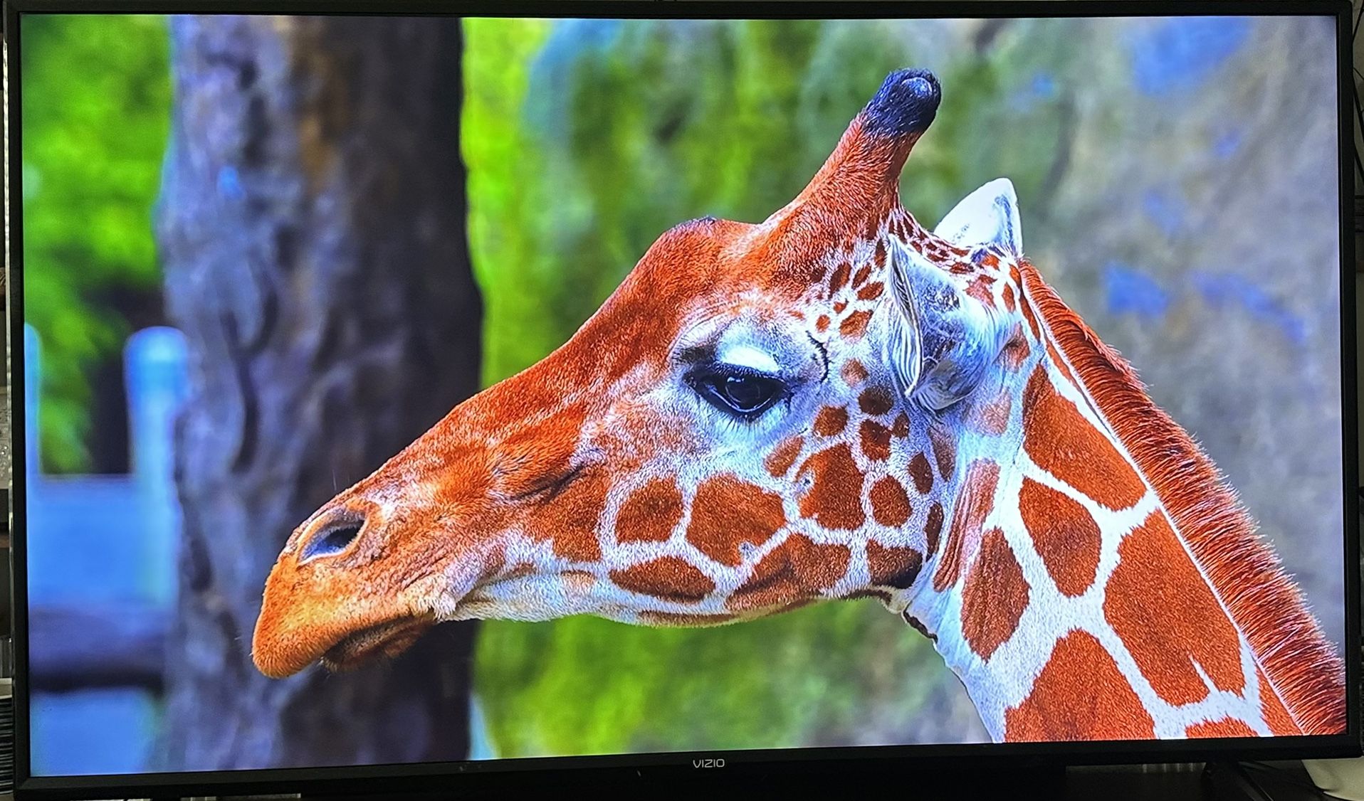 Vizio V-Series 65” TV (V656-G4) – Good Condition