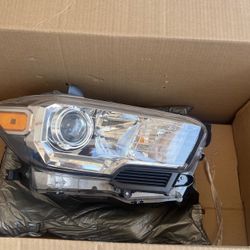Toyota Tacoma Head Lights 