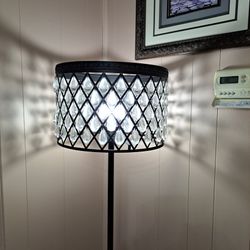 5' Vintage 120 Crystal Shade Floor Lamp
This Beautiful Lamp 