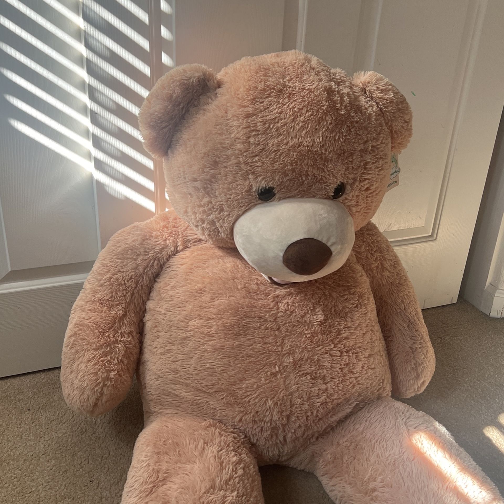 Big Teddy Bear
