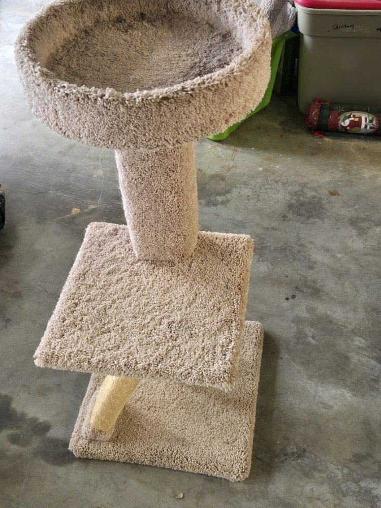 Cat Tree & Mat