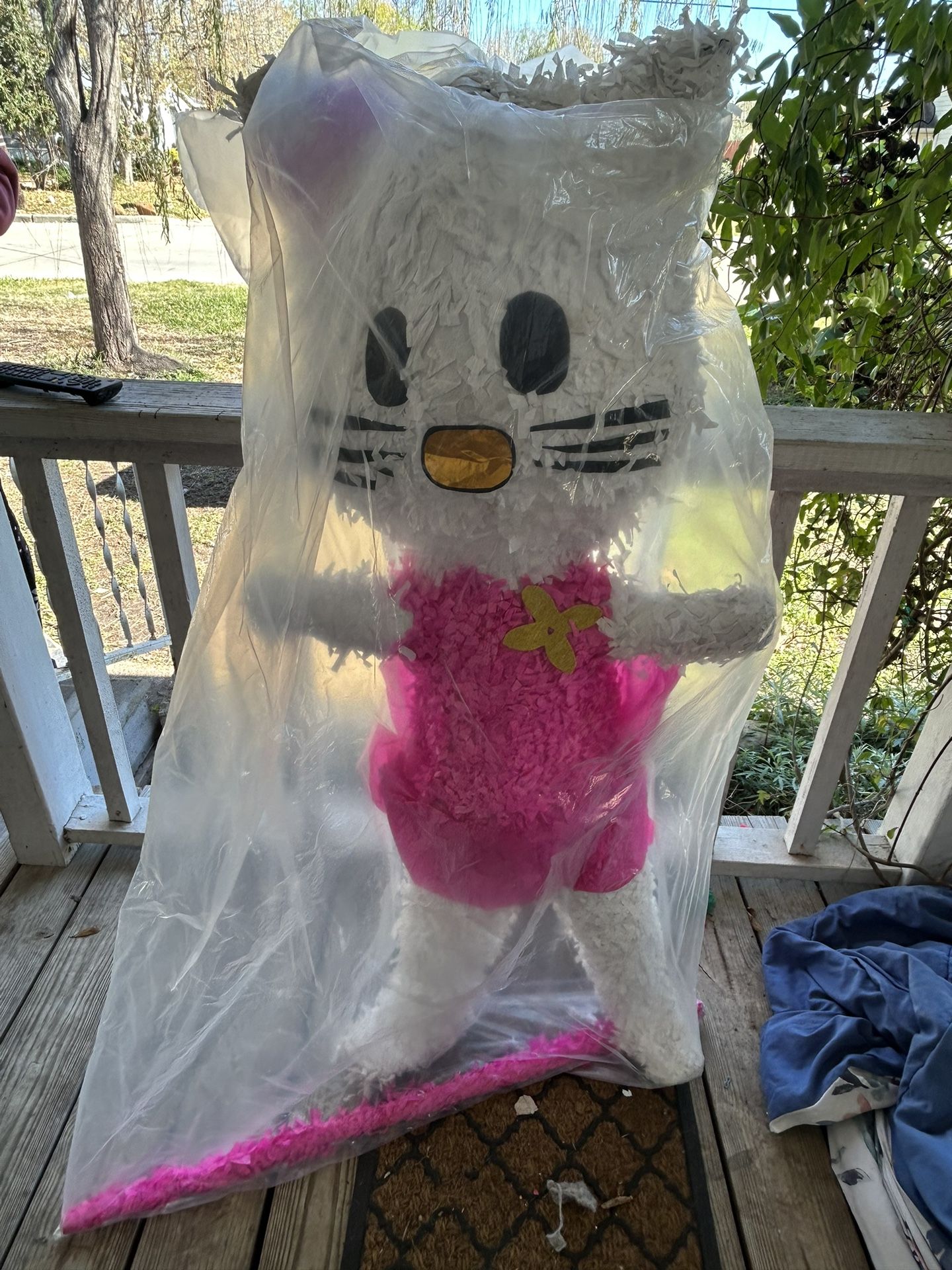 Piñata From Mexico 