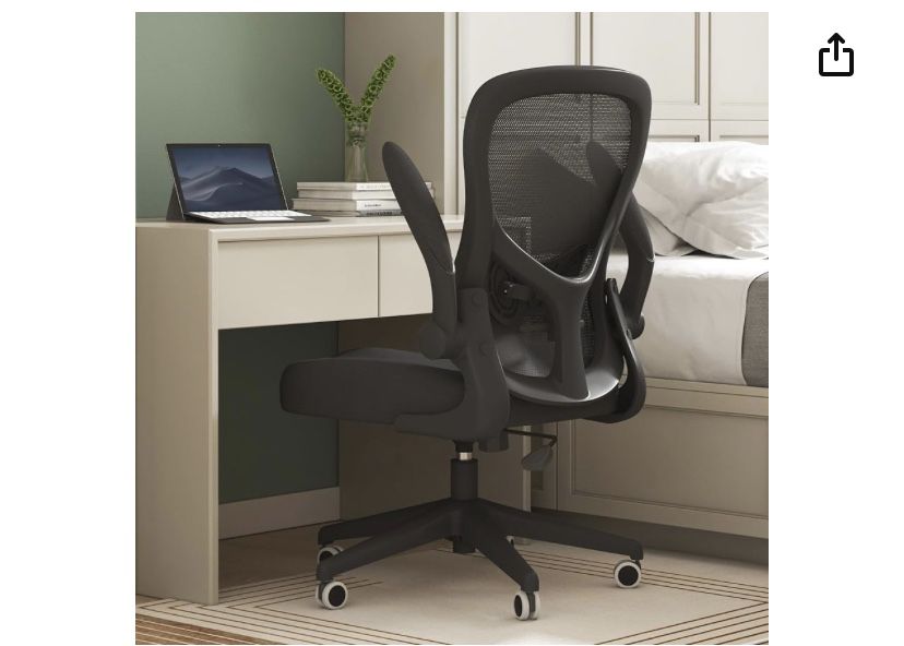 Hbada Ergonomic Office Chair (Blk)
